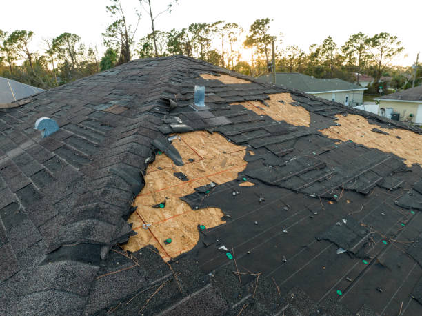 Steel Roofing in Ave Maria, FL